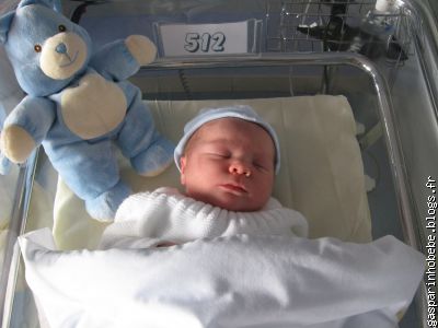 chambre 512 avec super lapin bleu qui squatte mon lit